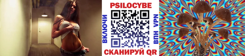 Галлюциногенные грибы MAGIC MUSHROOMS  где купить наркотик  Полтавская 